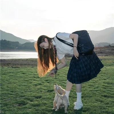 汪星人的奇思妙想
