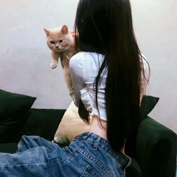 遗失的小美好之谎言